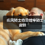 疾风骑士奇异地牢骑士皮肤（图3）