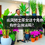 疾风骑士巫女这个角色有什么说法吗？（图1）