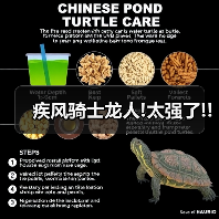 疾风骑士龙人!太强了!!（图1）