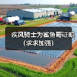 疾风骑士为鲨鱼哥证明（求求加强）（图3）