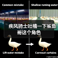 疾风骑士吐槽一下鲨鱼哥这个角色(图3) 疾风骑士吐槽一下鲨鱼哥这个角色(图3)
