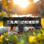 三角洲行动枪械推荐（图4）
