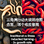 三角洲行动大战场地图合集,哪个难度最高(图2) 三角洲行动大战场地图合集,哪个难度最高(图2)