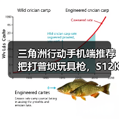 三角洲行动手机端推荐把打普坝玩具枪,S12K霰弹枪(图3) 三角洲行动手机端推荐把打普坝玩具枪,S12K霰弹枪(图3)