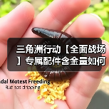 三角洲行动【全面战场】专属配件含金量如何? KC17先进战斗枪托详解(图2) 三角洲行动【全面战场】专属配件含金量如何? KC17先进战斗枪托详解(图2)