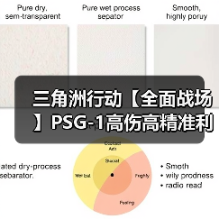 三角洲行动【全面战场】PSG-1高伤高精准利器,中远距离步枪手必备!(图3) 三角洲行动【全面战场】PSG-1高伤高精准利器,中远距离步枪手必备!(图3)