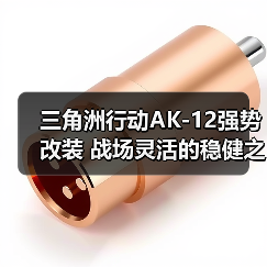 三角洲行动AK-12强势改装 战场灵活的稳健之选,比较均衡的武器!(图1) 三角洲行动AK-12强势改装 战场灵活的稳健之选,比较均衡的武器!(图1)