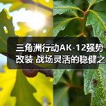 三角洲行动AK-12强势改装 战场灵活的稳健之选,比较均衡的武器!(图4) 三角洲行动AK-12强势改装 战场灵活的稳健之选,比较均衡的武器!(图4)