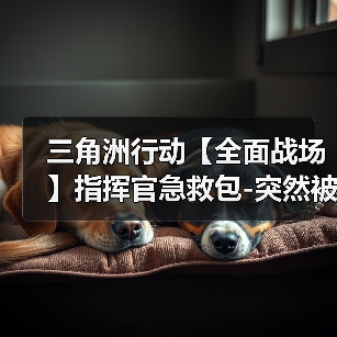三角洲行动【全面战场】指挥官急救包-突然被投票成狗官的紧急补救法(图3) 三角洲行动【全面战场】指挥官急救包-突然被投票成狗官的紧急补救法(图3)