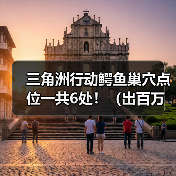 三角洲行动鳄鱼巢穴点位一共6处!(出百万大红)(图1) 三角洲行动鳄鱼巢穴点位一共6处!(出百万大红)(图1)