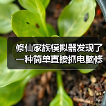 修仙家族模拟器发现了一种简单直接抓电脑修士的方法(图4) 修仙家族模拟器发现了一种简单直接抓电脑修士的方法(图4)