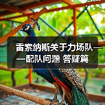 雷索纳斯关于力场队——配队问题 答疑篇（图4）