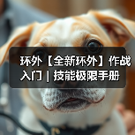 环外【全新环外】作战入门|技能极限手册(图3) 环外【全新环外】作战入门|技能极限手册(图3)