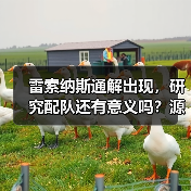 雷索纳斯通解出现,研究配队还有意义吗?源自于一坨答辩的伤害计算方式?(图1) 雷索纳斯通解出现,研究配队还有意义吗?源自于一坨答辩的伤害计算方式?(图1)