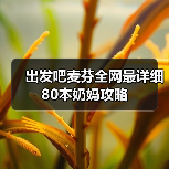 出发吧麦芬全网最详细80本奶妈攻略（图4）