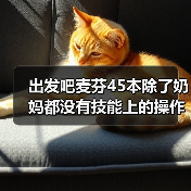 出发吧麦芬45本除了奶妈都没有技能上的操作(图4) 出发吧麦芬45本除了奶妈都没有技能上的操作(图4)