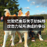 出发吧麦芬关于奶妈堆攻击力帖所造成的争议的补充说明（图2）