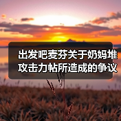 出发吧麦芬关于奶妈堆攻击力帖所造成的争议的补充说明（图4）
