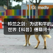 铃兰之剑:为这和平的世界【科普】借幕间十二科普一下铃兰的攻击类型(图2) 铃兰之剑:为这和平的世界【科普】借幕间十二科普一下铃兰的攻击类型(图2)