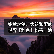 铃兰之剑:为这和平的世界【科普】伤害、治疗量、护盾值计算公式汇总(图1) 铃兰之剑:为这和平的世界【科普】伤害、治疗量、护盾值计算公式汇总(图1)
