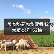 物华弥新物华零氪42天大版本送162抽(图4) 物华弥新物华零氪42天大版本送162抽(图4)