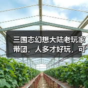 三国志幻想大陆老玩家带团，人多才好玩，可以指导萌新（图3）