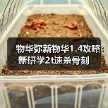 物华弥新物华1.4攻略:新研学2t速杀骨刻(图1) 物华弥新物华1.4攻略:新研学2t速杀骨刻(图1)
