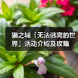 猫之城「无法逃离的世界」活动介绍及攻略(图2) 猫之城「无法逃离的世界」活动介绍及攻略(图2)