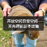 开放空间异变空间——天光荷影副本攻略(图3) 开放空间异变空间——天光荷影副本攻略(图3)