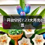 开放空间7.23大月亮位置（图3）
