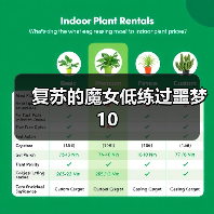 复苏的魔女低练过噩梦10（图3）
