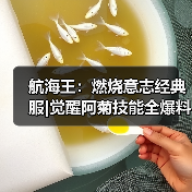 航海王:燃烧意志经典服|觉醒阿菊技能全爆料(图3) 航海王:燃烧意志经典服|觉醒阿菊技能全爆料(图3)
