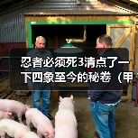 忍者必须死3清点了一下四象至今的秘卷(甲)(图1) 忍者必须死3清点了一下四象至今的秘卷(甲)(图1)