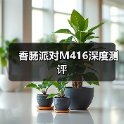 香肠派对M416深度测评(图3) 香肠派对M416深度测评(图3)