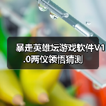 暴走英雄坛游戏软件V1.0两仪领悟猜测(图1) 暴走英雄坛游戏软件V1.0两仪领悟猜测(图1)