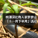 桃源深处有人家萝萝山「十一月下半月」活动日历来萝!(图4) 桃源深处有人家萝萝山「十一月下半月」活动日历来萝!(图4)