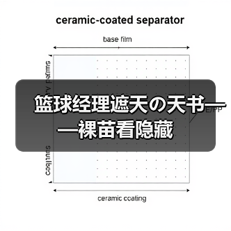 篮球经理遮天の天书——裸苗看隐藏(图3) 篮球经理遮天の天书——裸苗看隐藏(图3)