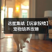 远星集结【玩家投稿】宠物培养攻略(图1) 远星集结【玩家投稿】宠物培养攻略(图1)