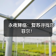 永夜降临:复苏寻找莎菲尔!(图3) 永夜降临:复苏寻找莎菲尔!(图3)