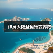 神灵大陆圣枪维兹养成(图3) 神灵大陆圣枪维兹养成(图3)