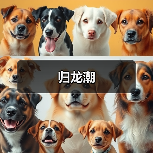 归龙潮（图2）