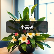 小富婆(图1) 小富婆(图1)