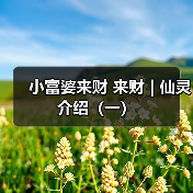 小富婆来财 来财 | 仙灵介绍(一)(图3) 小富婆来财 来财 | 仙灵介绍(一)(图3)