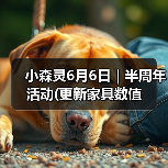 小森灵6月6日|半周年活动(更新家具数值(图1) 小森灵6月6日|半周年活动(更新家具数值(图1)