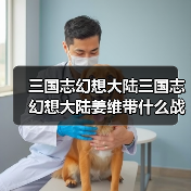 三国志幻想大陆三国志幻想大陆姜维带什么战魂好(图2) 三国志幻想大陆三国志幻想大陆姜维带什么战魂好(图2)