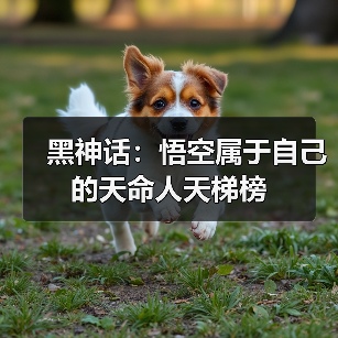 黑神话：悟空属于自己的天命人天梯榜（图1）
