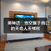 黑神话：悟空属于自己的天命人天梯榜（图4）