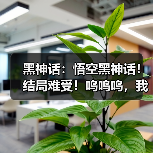 黑神话:悟空黑神话!结局难受!呜呜呜,我是坏人!(图3) 黑神话:悟空黑神话!结局难受!呜呜呜,我是坏人!(图3)
