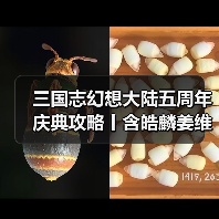 三国志幻想大陆五周年庆典攻略丨含皓麟姜维全方位解析与阵容推荐（图4）