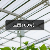 三国100%氵（图1）